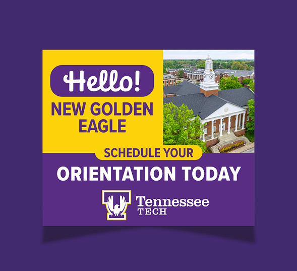 Higher Education
