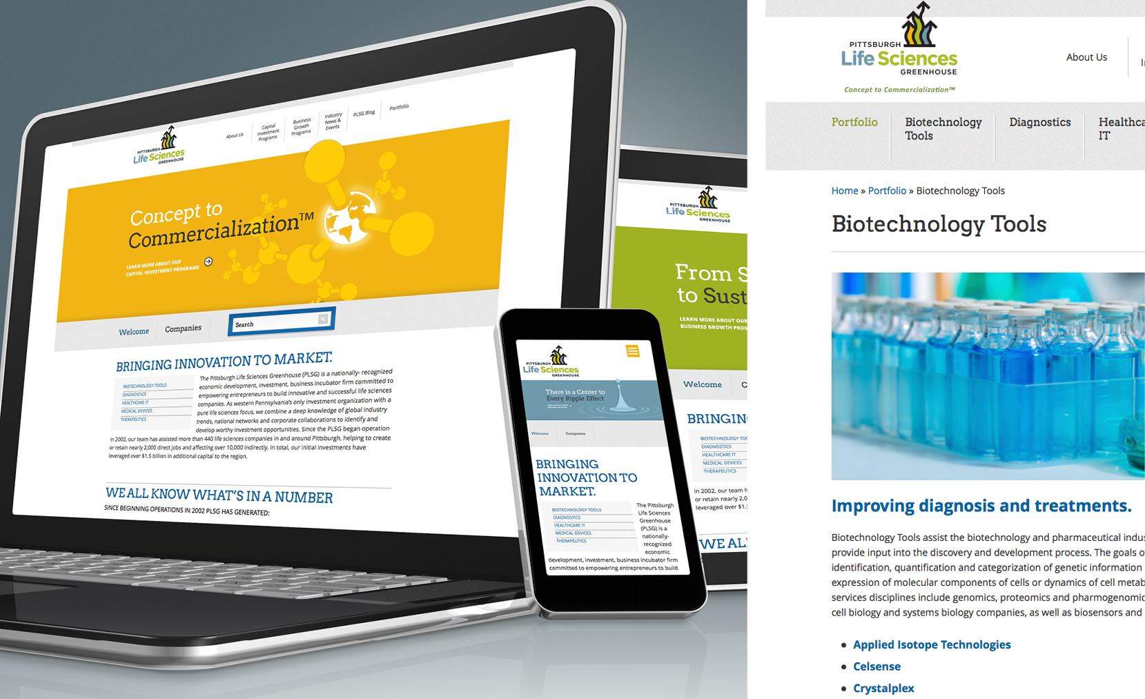 Desktop and mobile examples of website