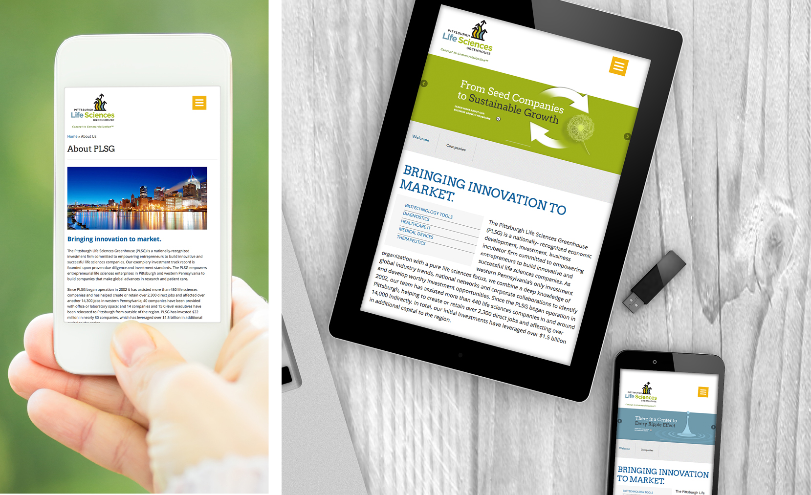 Responsive website
