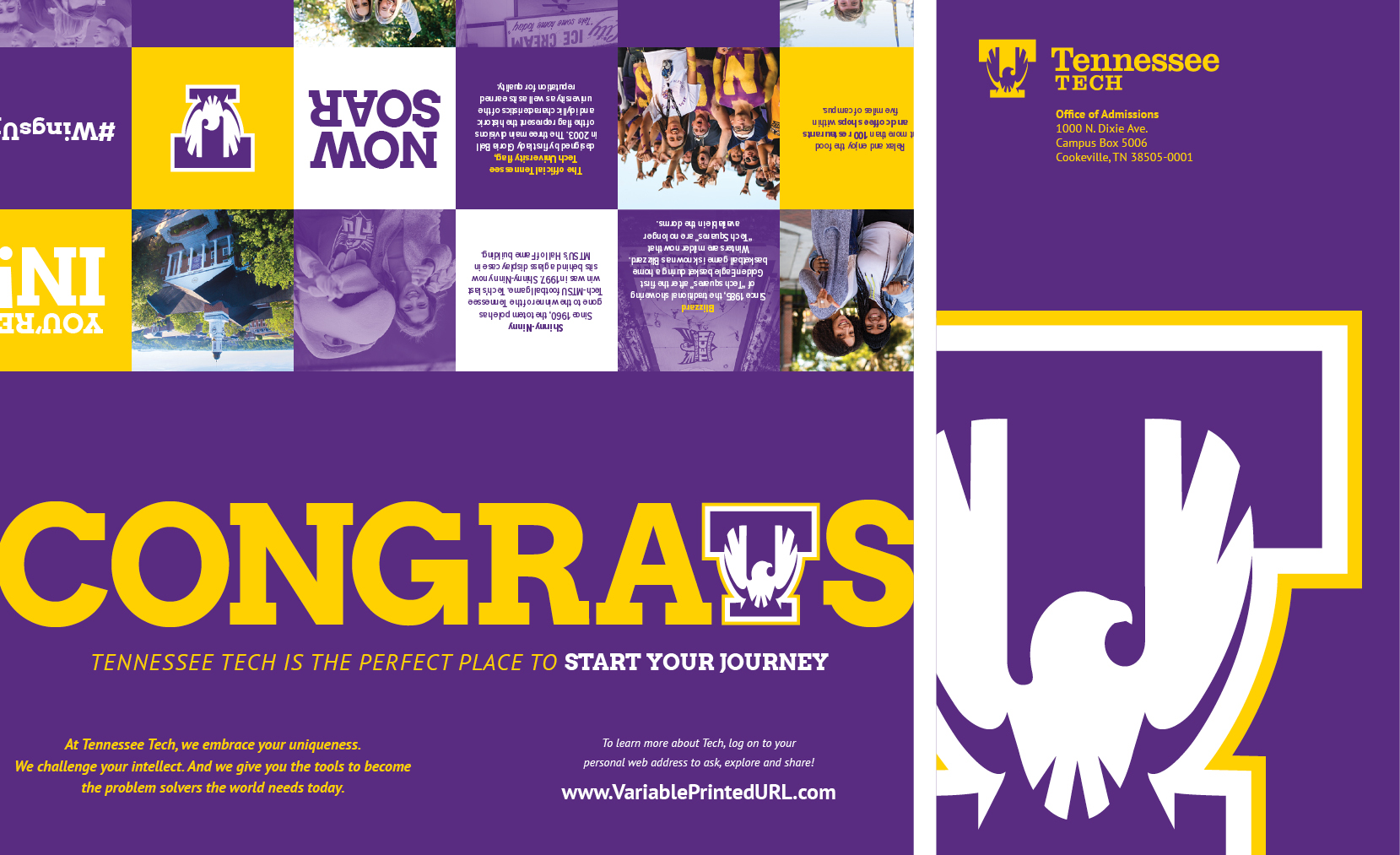 Tennessee Tech Admissions Kit 