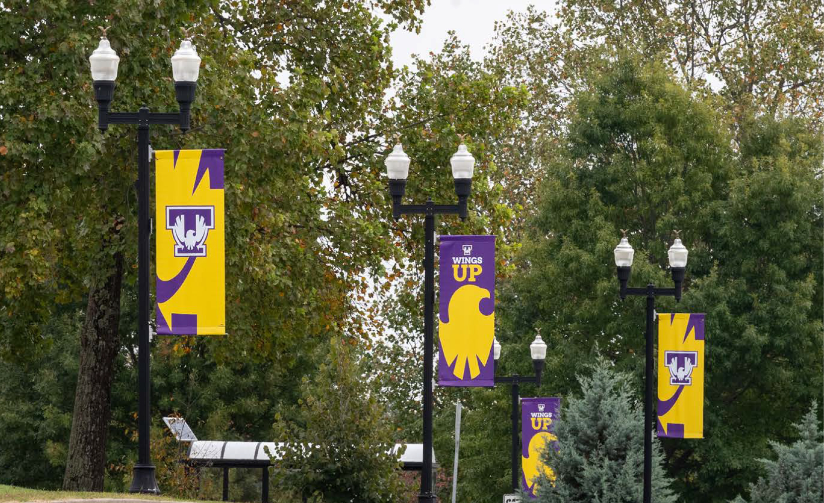 Tennessee Tech University Campus Banners